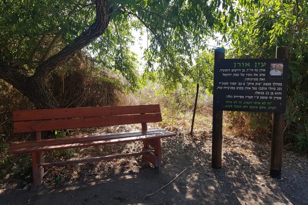 עין חזין עין אורן