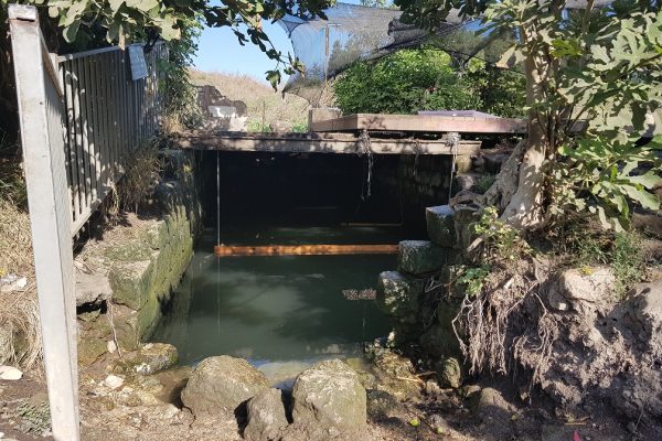 עין חזין עין אורן