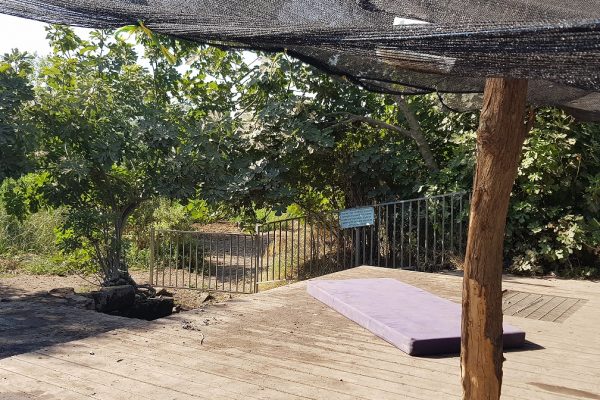 עין חזין עין אורן