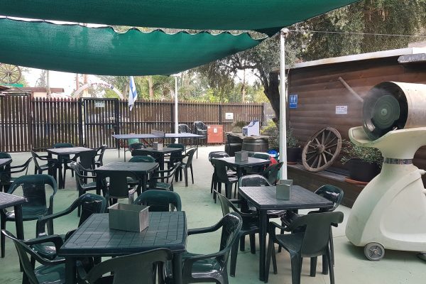 ג'ונגל כיף בית זרע בקעת הירדן