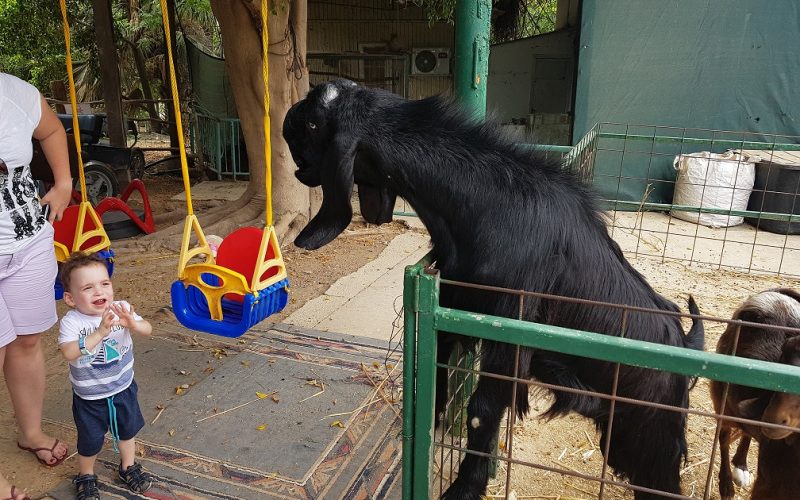 ג'ונגל כיף בית זרע בקעת הירדן
