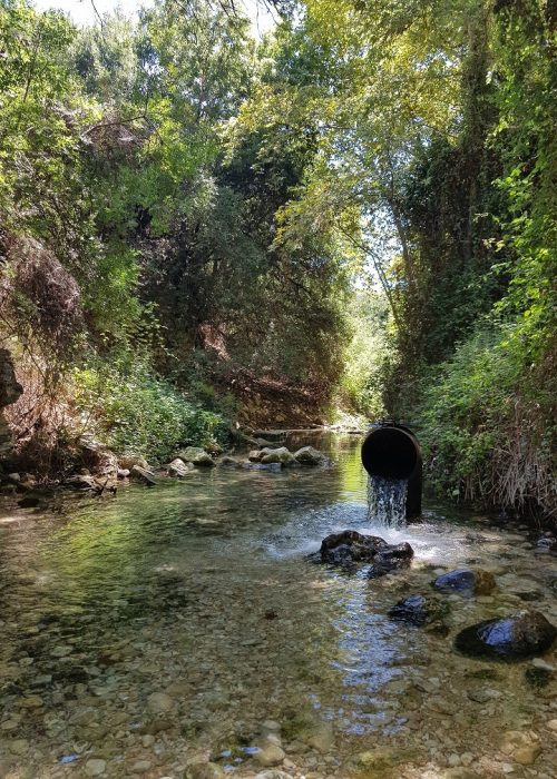 עין חרדלית נחל כזיב