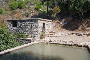 עין אלון – מעיין הנובע בתוך ערוץ נחל אורן