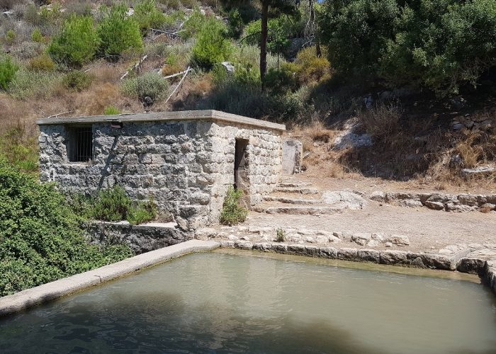 עין אלון – מעיין הנובע בתוך ערוץ נחל אורן