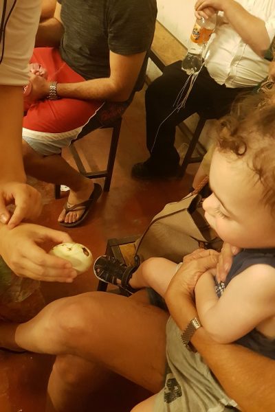 ברווזים בכפר – מרכז מבקרים לכל המשפחה