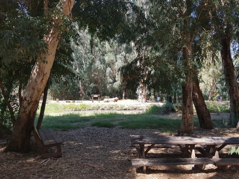 שביל נחל נעמן – טיול מונגש לעגלות לצד הנחל