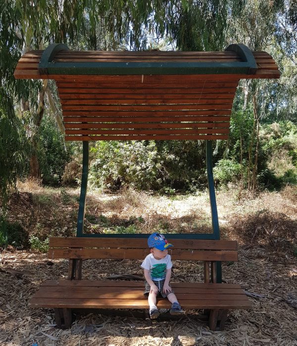 שביל נחל נעמן – טיול מונגש לעגלות לצד הנחל