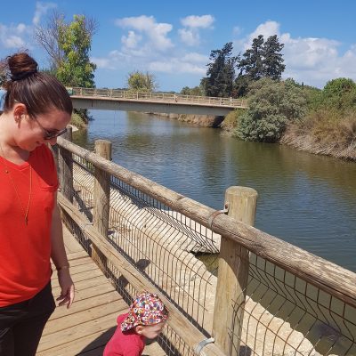 נחל אלכסנדר – פארק צבי הנחל