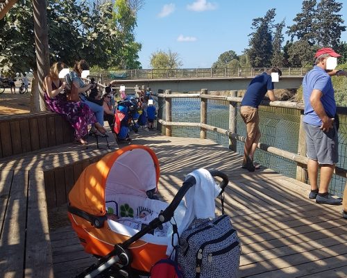 נחל אלכסנדר – פארק צבי הנחל