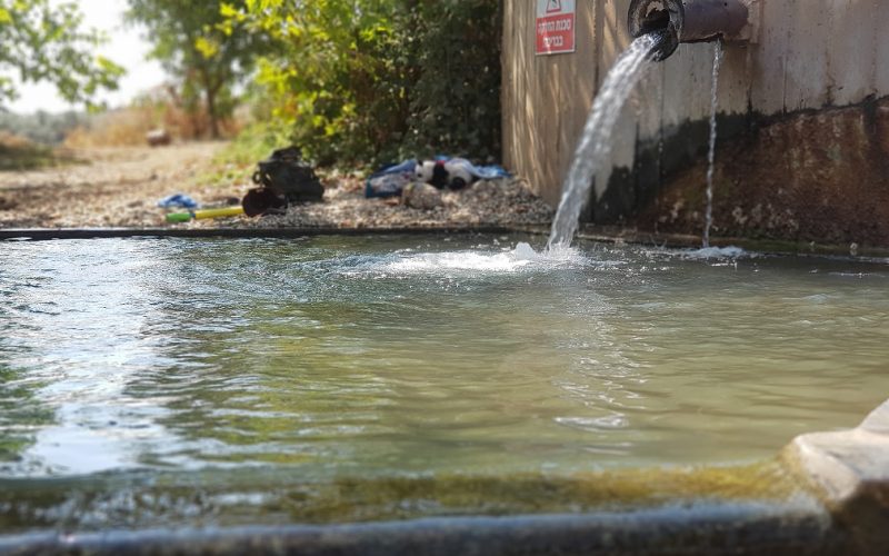 מעיין בשביל החמישה