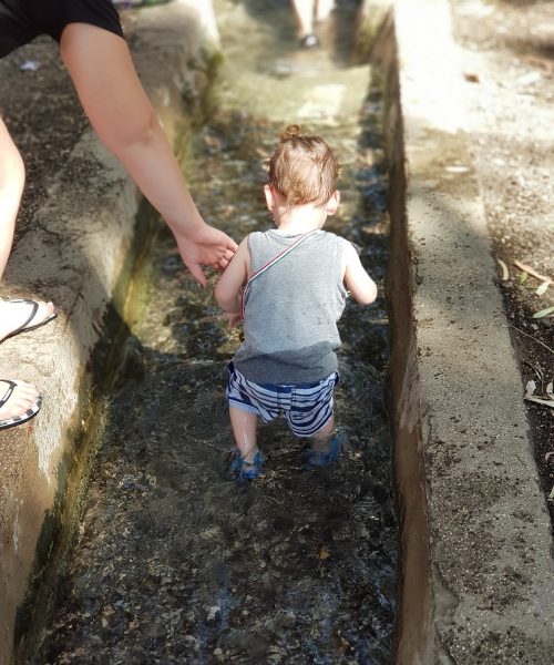 עין יזרעאל ותצפית מתל יזרעאל