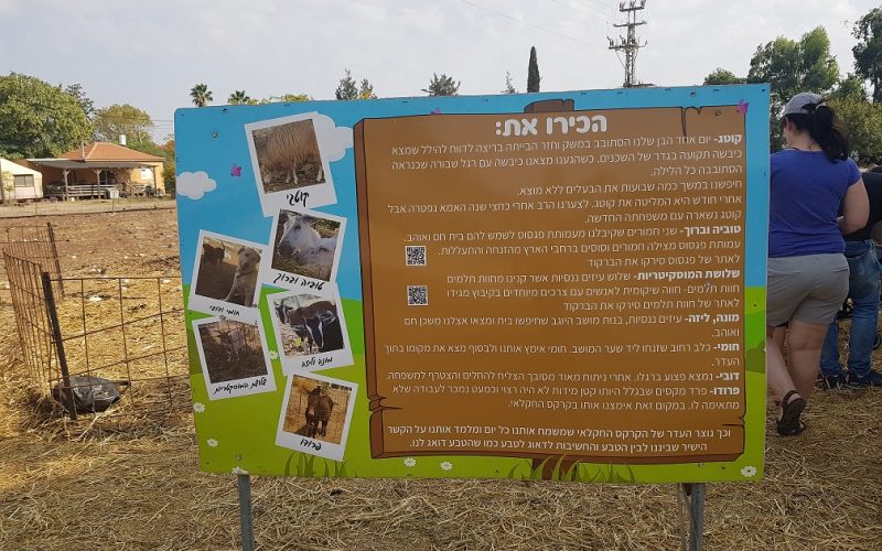 הקרקס החקלאי – משק של חקלאות תיירותית לכל המשפחה