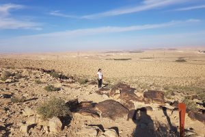 מצפור ליפא גל - פארק חרותות הסלע