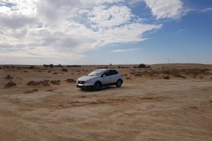 גלישת חולות ואטרקציות עם דרור במדבר