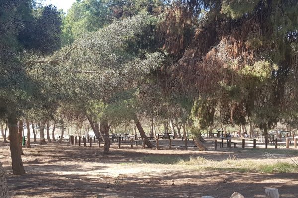 אגם פארק ירוחם