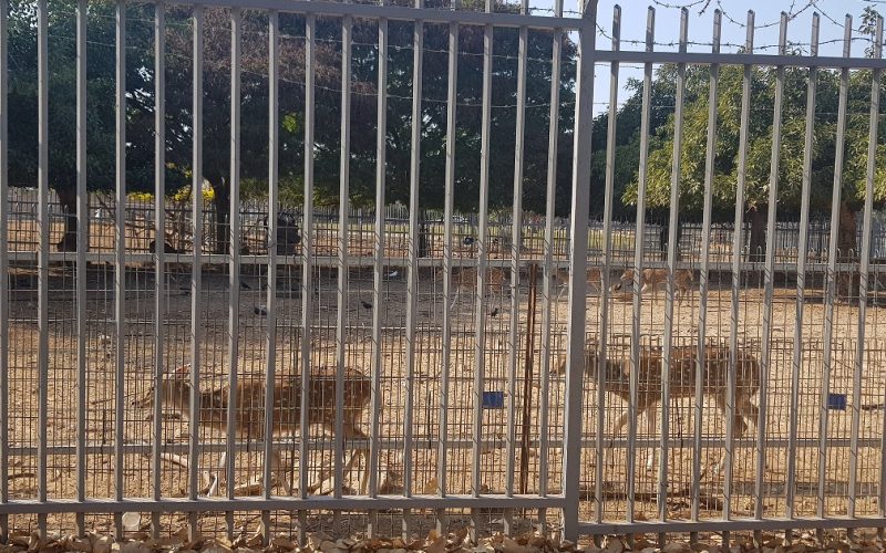 פארק מנחם בגין