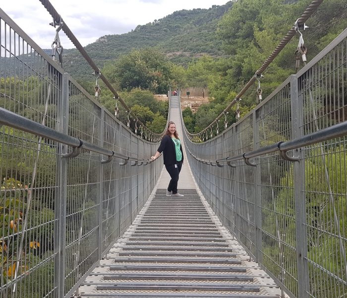 פארק נשר הגשרים התלויים