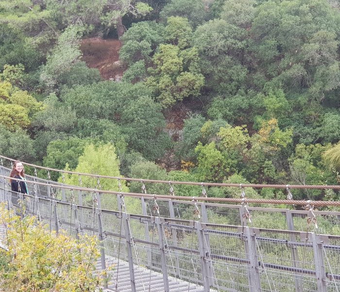 פארק נשר הגשרים התלויים