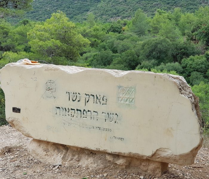 פארק נשר הגשרים התלויים