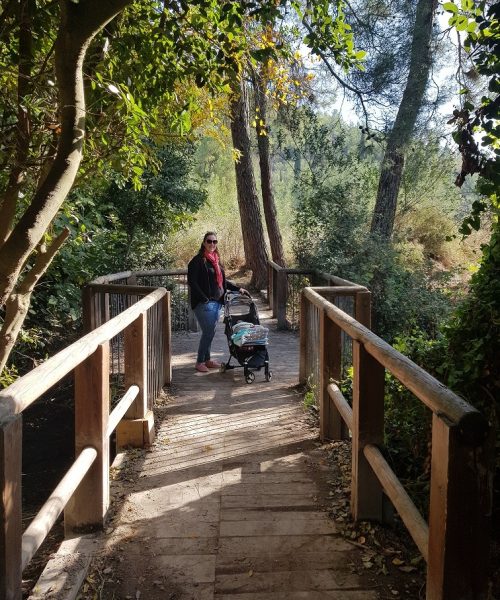 נחל השופט רמות מנשה חניון חרובים