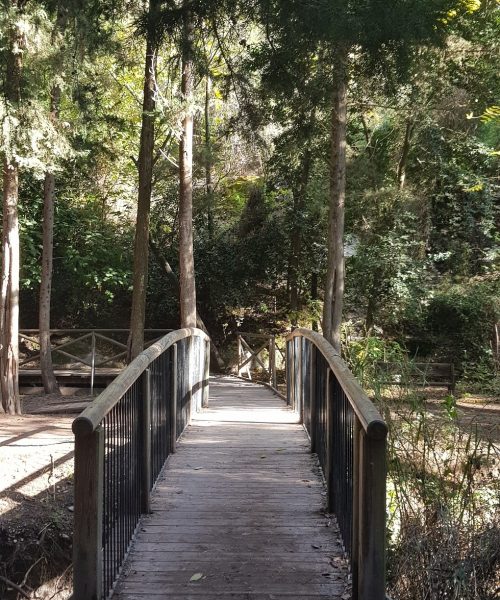 נחל השופט רמות מנשה חניון חרובים