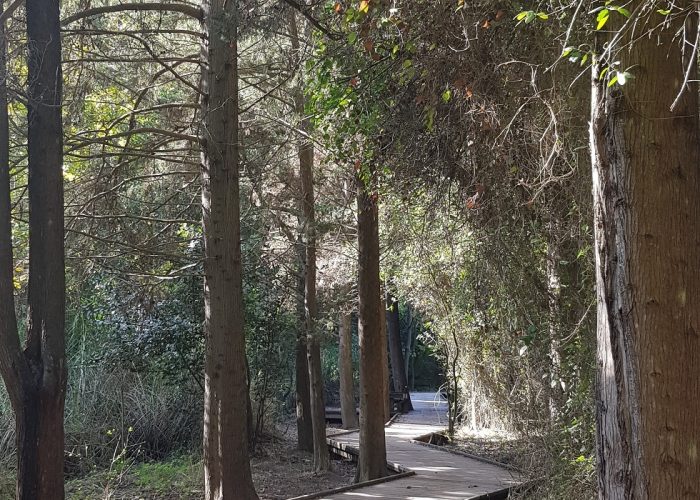 נחל השופט רמות מנשה חניון חרובים