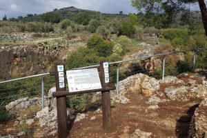 שמורת הטבע נחל גמל - קניון שגור