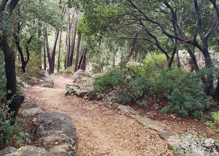 שמורת הטבע נחל גמל - קניון שגור