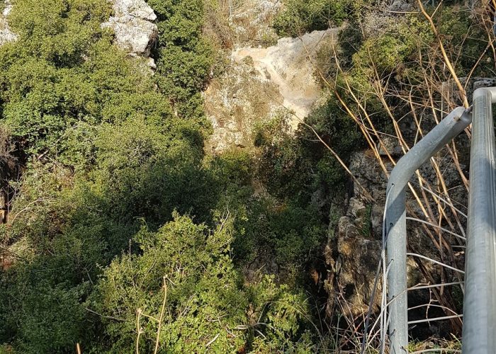 שמורת הטבע נחל גמל - קניון שגור