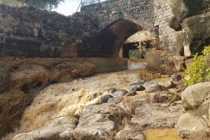 שביל בין הגשרים – נחל חרוד בית שאן