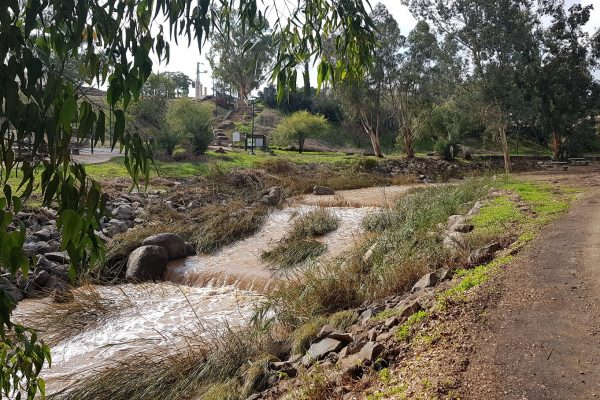 שביל בין הגשרים - נחל חרוד בית שאן