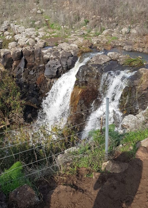 נחל קצרין ופארק קצרין מפל קצרין