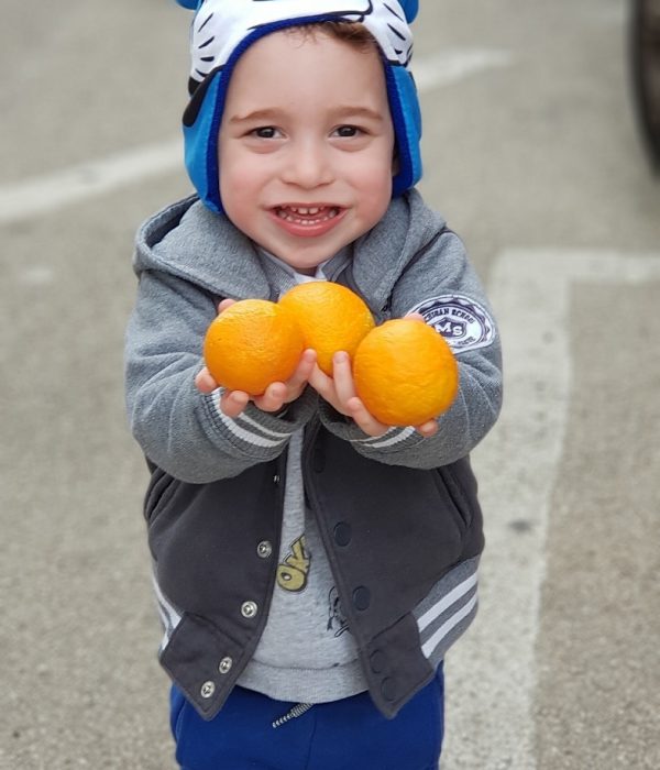 8 מקומות מומלצים לקטיף עצמי