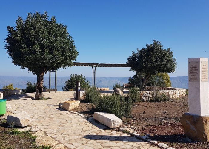 יער שוויץ – טיול בדרך נוף הכנרת