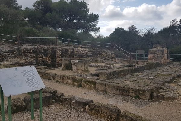 שביל הדורות בפארק יערות הכרמל