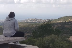 חניון הכלניות בפארק יערות הכרמל