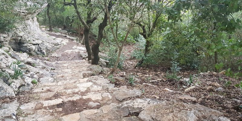 פארק הסלעים בכיסרא – תופעת טבע בגליל העליון