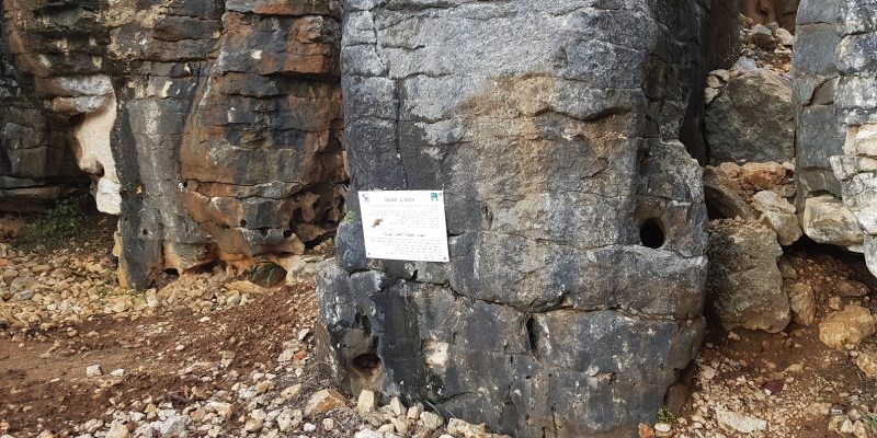 פארק הסלעים בכיסרא – תופעת טבע בגליל העליון