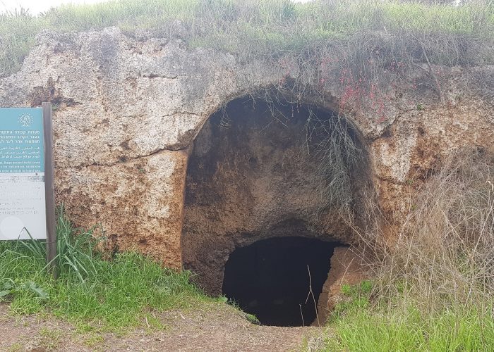 שמורת הטבע ביתן אהרון טיול קליל בשרון