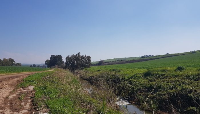 שמורת הטבע נחל תבור – שלושה מסלולים ברמות קושי שונות