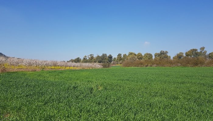 שמורת הטבע נחל תבור – שלושה מסלולים ברמות קושי שונות