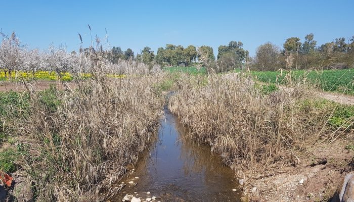 שמורת הטבע נחל תבור – שלושה מסלולים ברמות קושי שונות