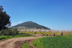שמורת הטבע נחל תבור – שלושה מסלולים ברמות קושי שונות