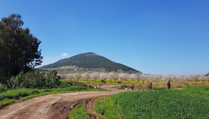 שמורת הטבע נחל תבור – שלושה מסלולים ברמות קושי שונות