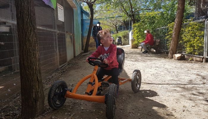 פארק ארץ הצבי – הטבע במלוא אדיבותו בלב השרון