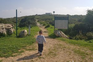 שמורת הטבע חרבת קרתא