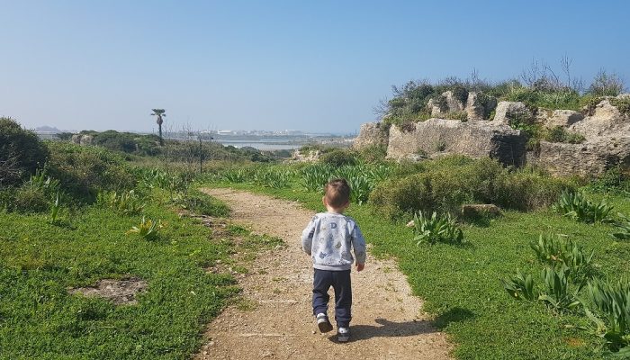 שמורת הטבע חרבת קרתא