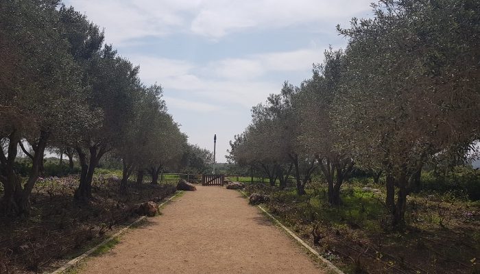 גני הנדיב בזיכרון יעקוב – מגוון רחב של מסלולי טיול לכל המשפחה