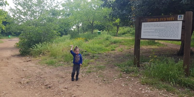 עין געתון וחרבת געתון