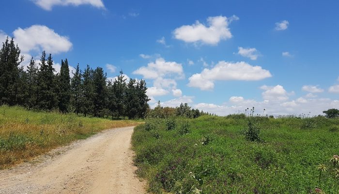 נחל קיני במורדות רמות מנשה - צומת מגידו